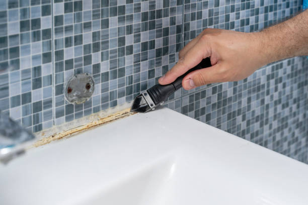 Best Professional Mold Removal  in Rome, IL