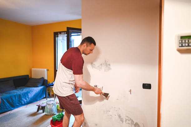 Best Fast Mold Removal  in Rome, IL